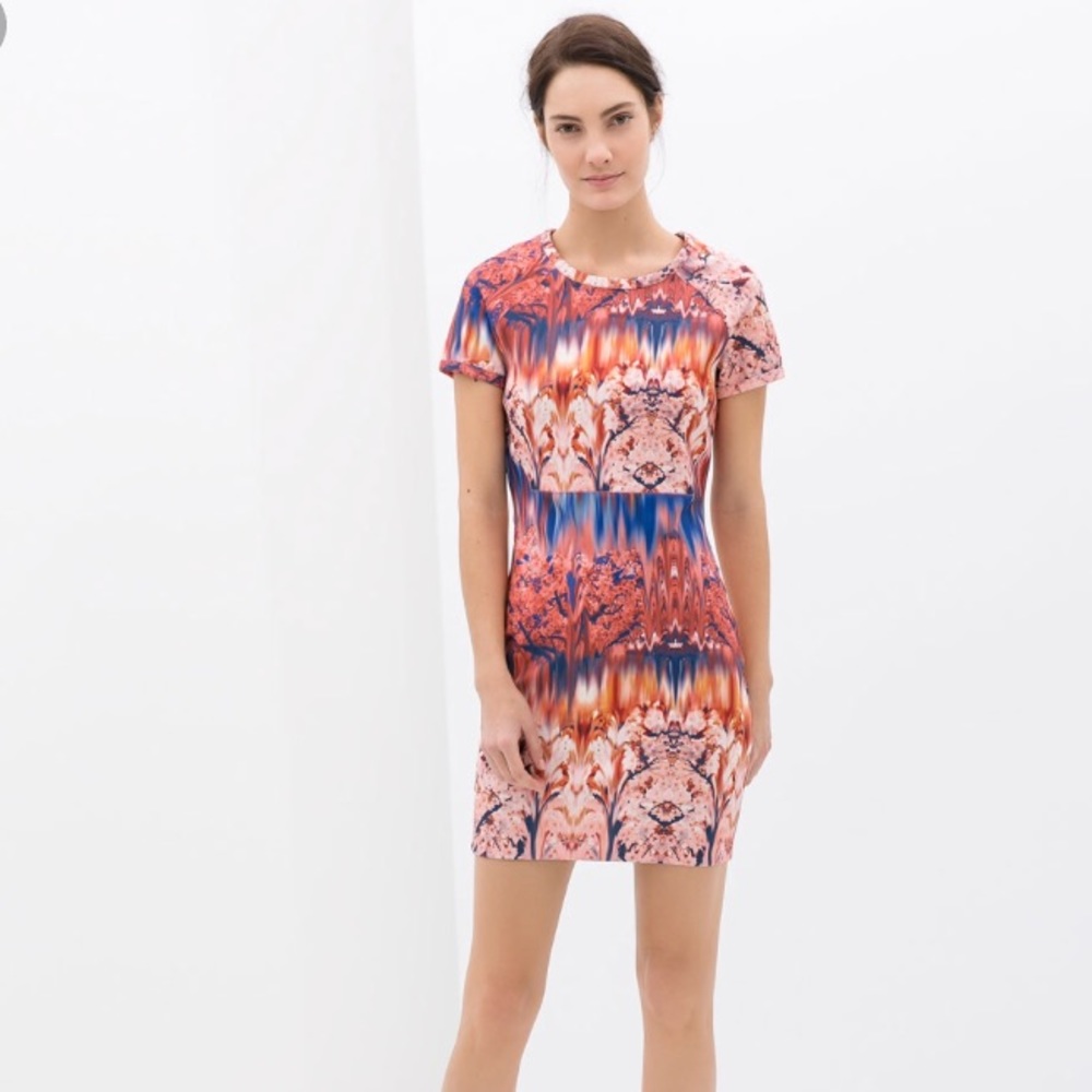 Beautiful Zara Mini Dress!